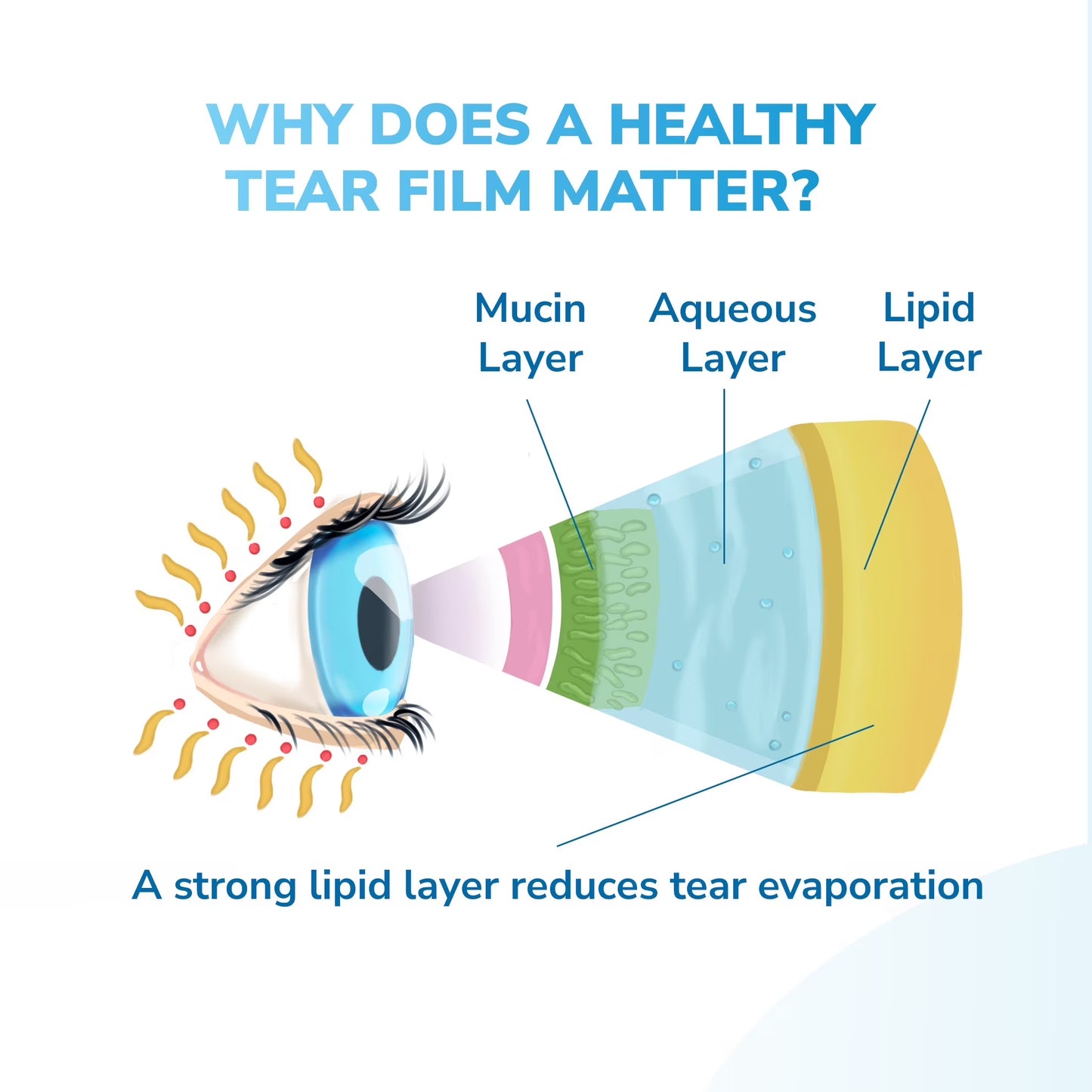 Moist Heat Mask - Reusable and Designed to Give You Effective Relief from Dry Eye and Other Related Eye Conditions.