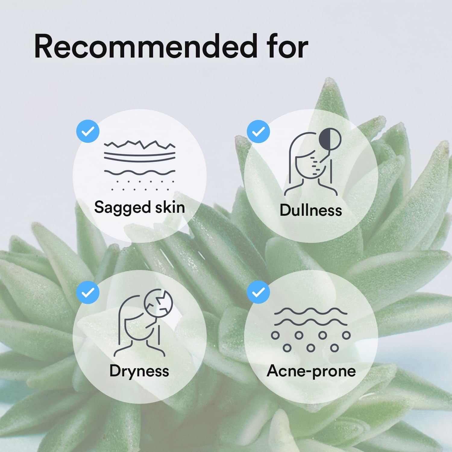 Vegan Collagen Gel Mask Sedum Jelly 4 Sheets (Hydrating) I Korean Vegan Collagen, Cooling Hydrating Hyaluronic Acid Hydrogel Face Mask Skin Care
